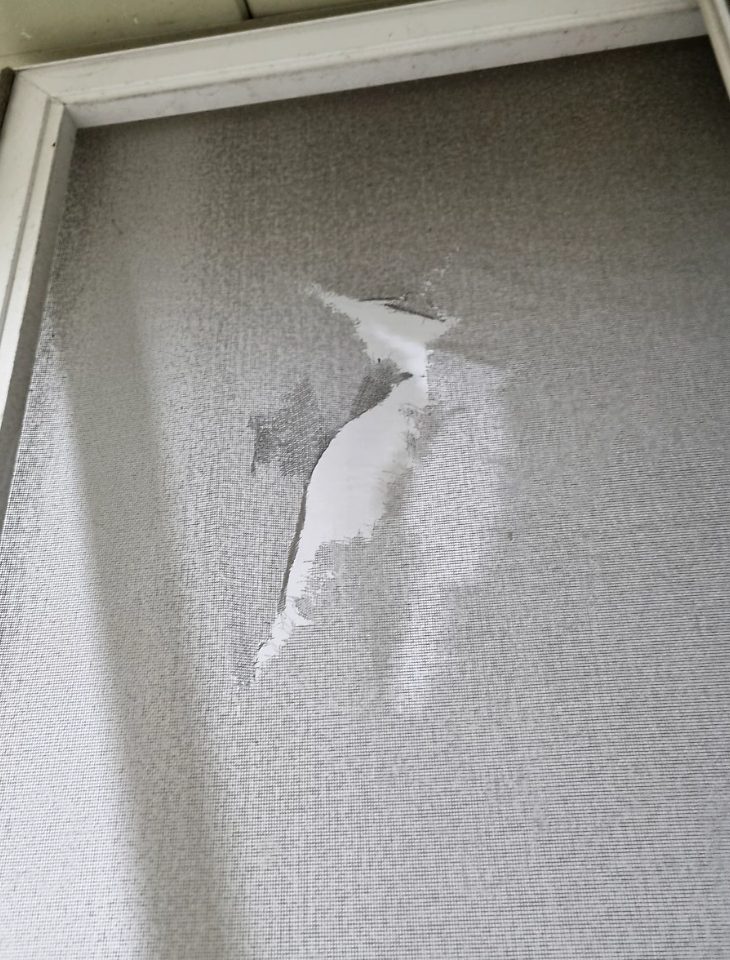 의정부 녹양동 방충망 교체 시공 사진 2
