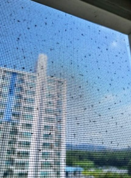 의정부 송산동 방충망 교체 시공 사례